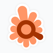 Logo di FindSkills